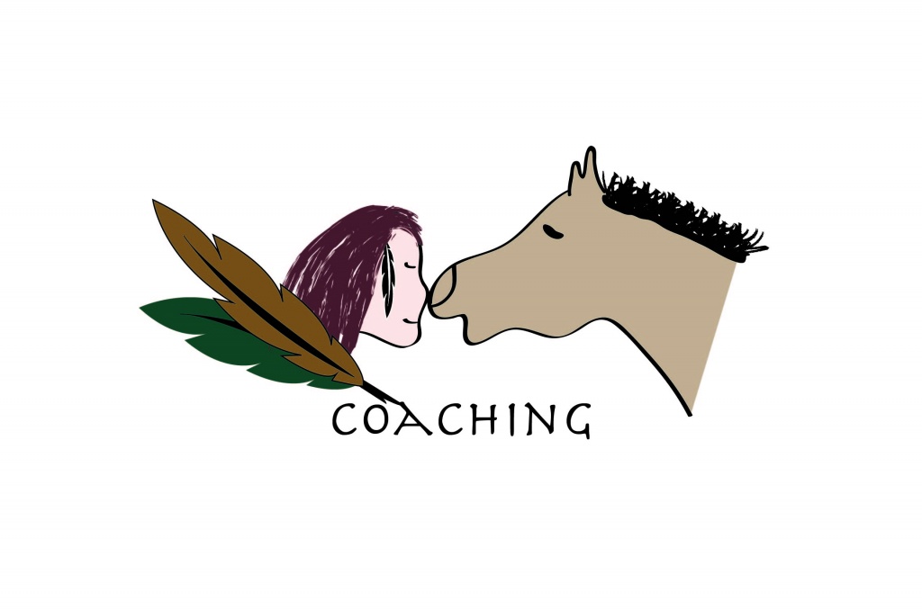 horsesense-coaching-2